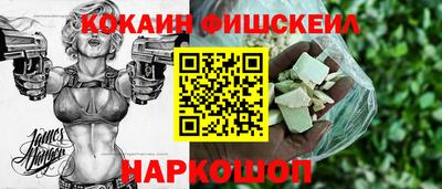 МДПВ Бийск