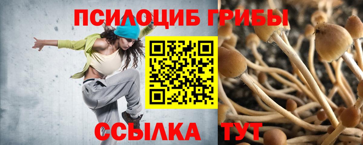 Псилоцибиновые грибы прущие грибы Батайск