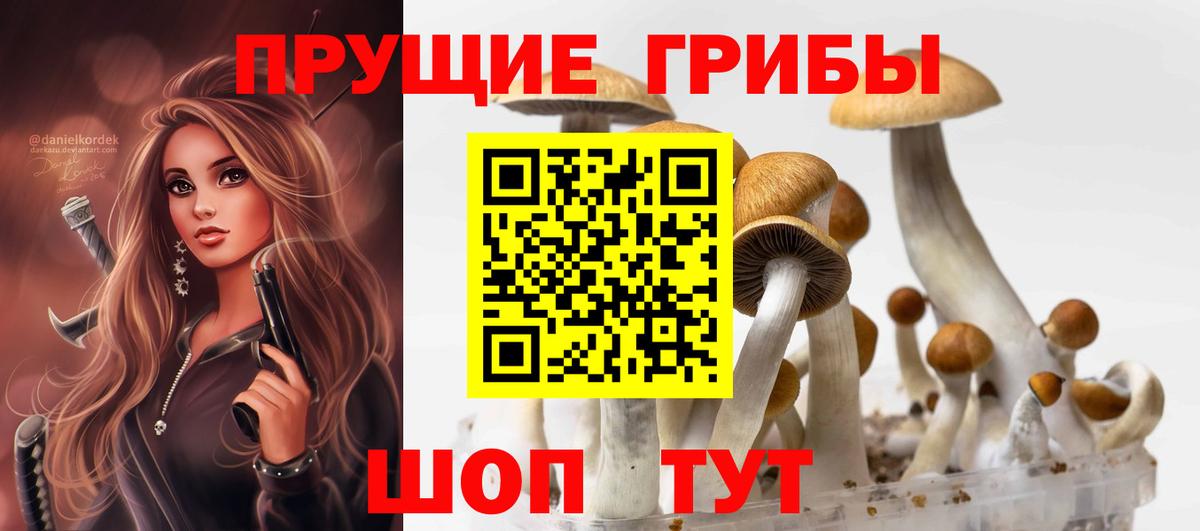 Псилоцибиновые грибы мицелий  продажа наркотиков  Батайск  Вход с VPN  Галлюциногенные грибы мицелий 